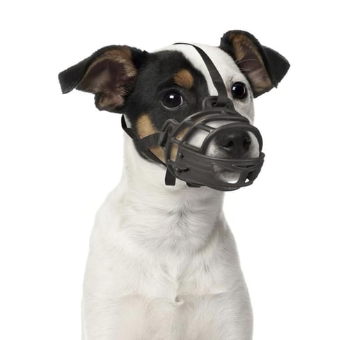 دوفو كمامة التدريب المطاطية للكلاب XS