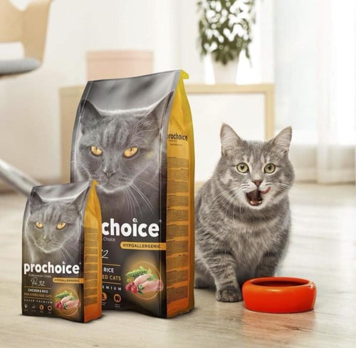 بروتشويز طعام قطط دجاج 2 ك