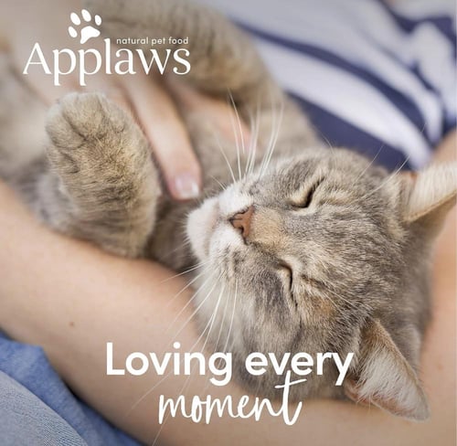 ابلاوز اطباق طعام رطب صدور الدجاج مع الأرز للقطط 6...