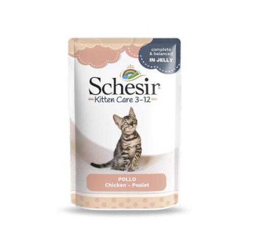 شيزر طعام رطب للقطط الصغيرة بنكهة الدجاج في الجيلي...