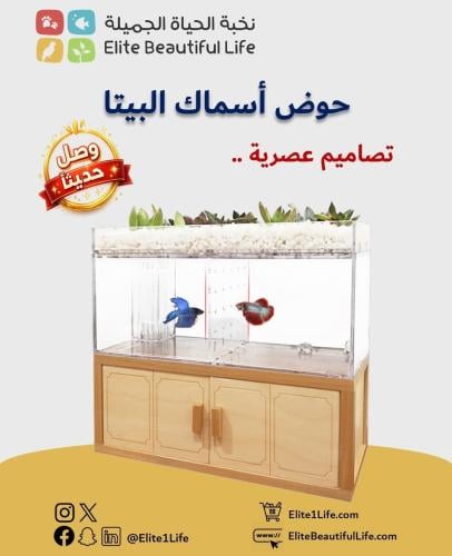 حوض فايتر مع قاسم ٢