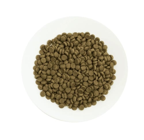 بروتشويز طعام قطط لحم ورز للقطط البالغة ٢ كيلو