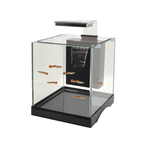 دوفين حوض ميني DoPhin Mini tank 8003