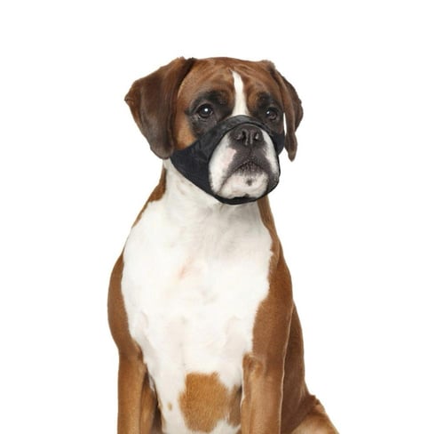 دوفو كمامة الكلب Dog Muzzle