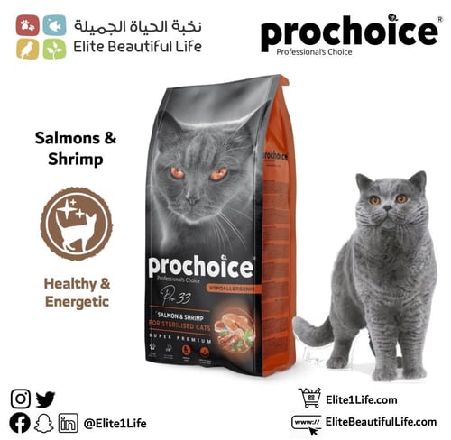 بروتشويز طعام قطط سلمون ٢ كيلو