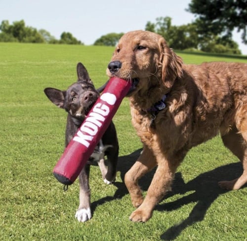 كونغ العاب للكلاب (موديل SKSX)