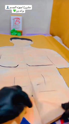 مشروع اجزاء جسم الانسان مقاس A3