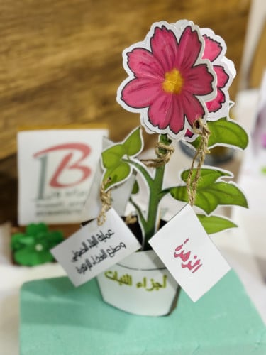 مطويه اجزاء النباتات
