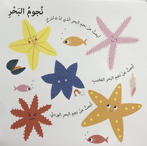 أنا ابحث في البحار