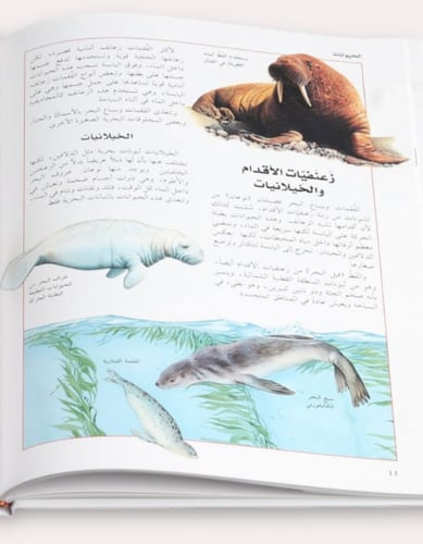 موسوعة الأجيال 10 مجلدات