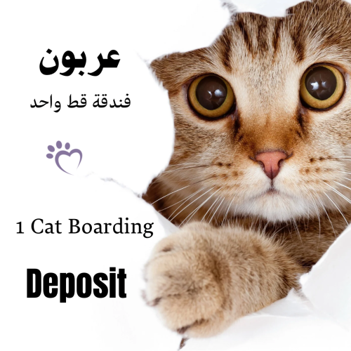Hotel Deposit عربون فندقة
