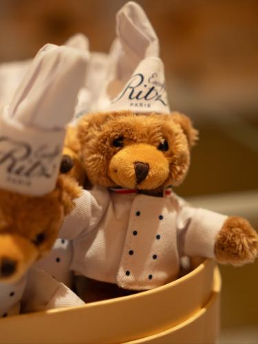 Teddy bear chef