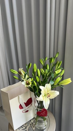 فازة الليلي الأبيض