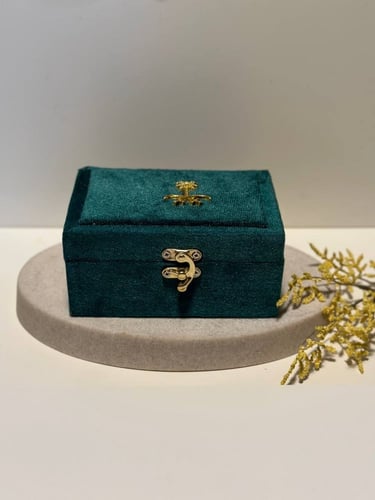 شيخ المجالس