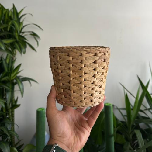 اصيص خوص 12 سم