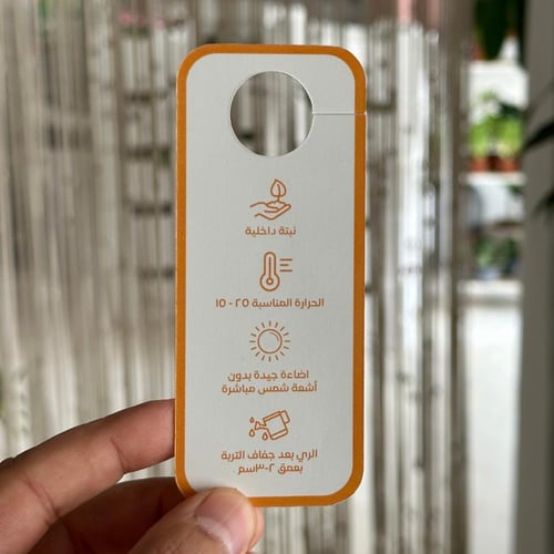 بوتس نيون الذهبي مع اصيص ابيض وبكج اهداء