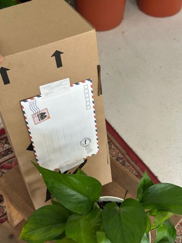 بوتس اصيص ابيض مع بوكس اهداء