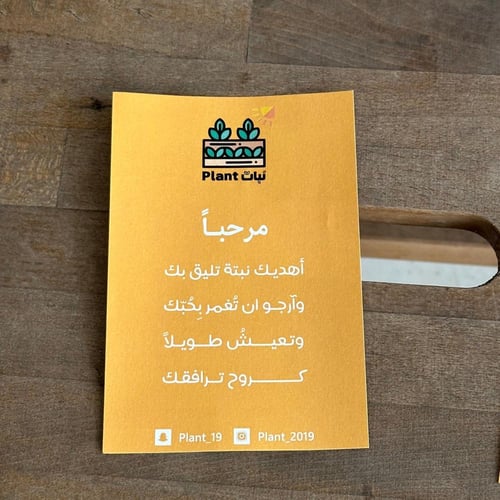 بوتس نيون الذهبي مع اصيص ابيض وبكج اهداء