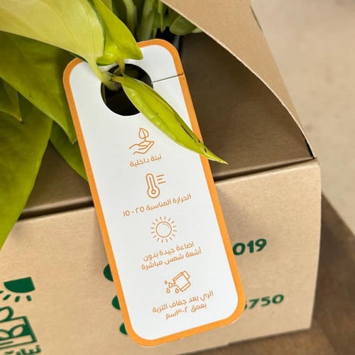 بوتس نيون الذهبي مع اصيص ابيض وبكج اهداء