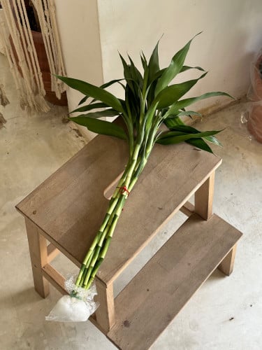 مجموعة بامبو تايلندي 6 حبات