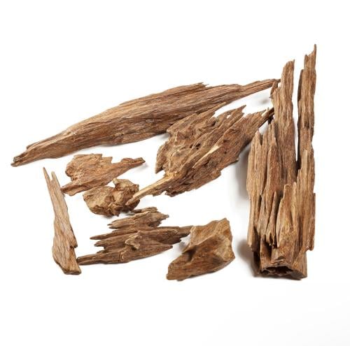 كلمنتان مالينو نوادر