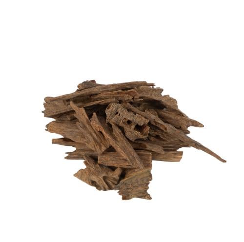 فلبيني نوادر غابات