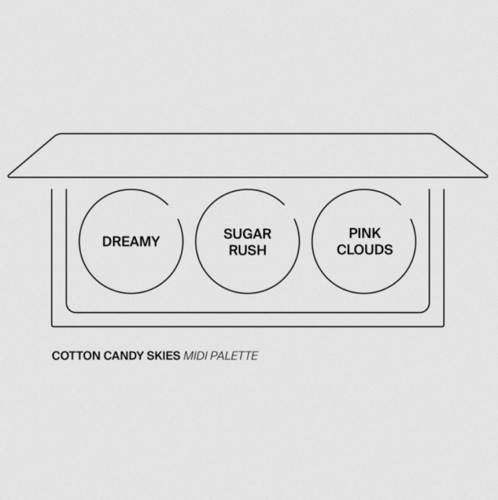 باليت بلاشر مع اضاءة اوفرا OFRA MIDI PALETTE