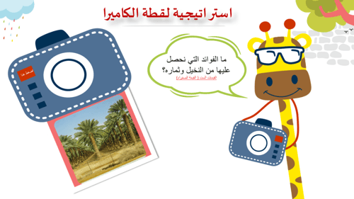 نشاطات التهيئة - وحدة محاصيل من بلادي