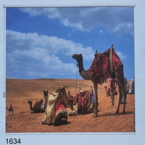 ستائر رول تراثية