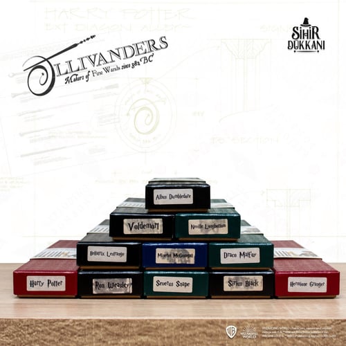 Wizarding World- Harry Potter 's Wand