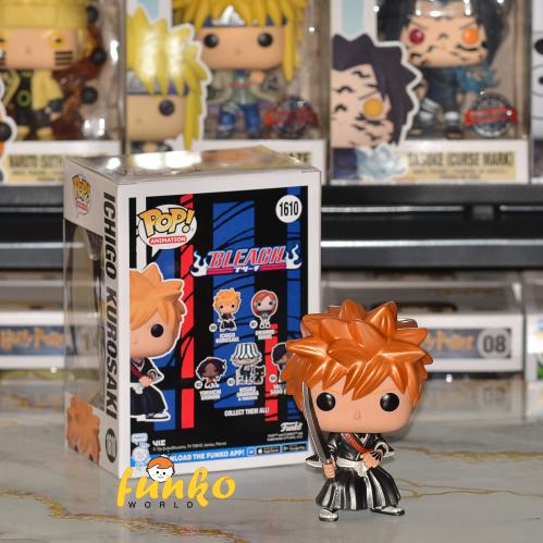 Pop! Animation: Bleach - Ichigo chase (MT)