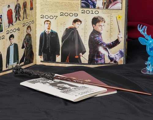Wizarding World- Harry Potter 's Wand