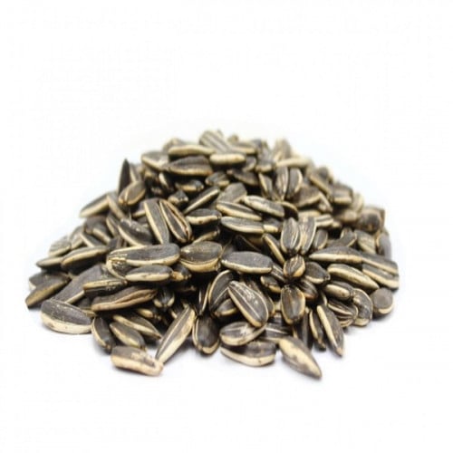 دوار الشمس بدون ملح