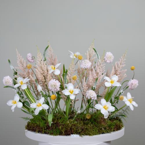 JAU ARRANGMENT