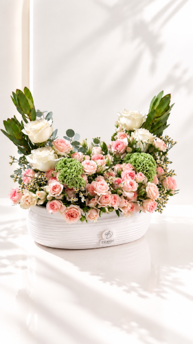 فازه -20