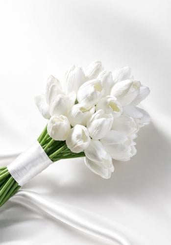 مسكة عروس توليب