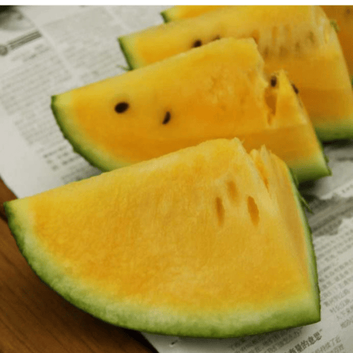 بذور حبحب اصفر F1 هجين