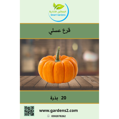 بذور قرع عسلي