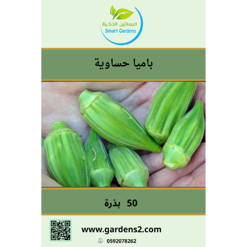 بذور بامية حبة صغيرة ( حساوية )