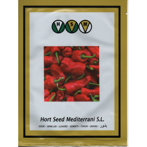 فلفل شقراء صنف بترا حار F1 هجين