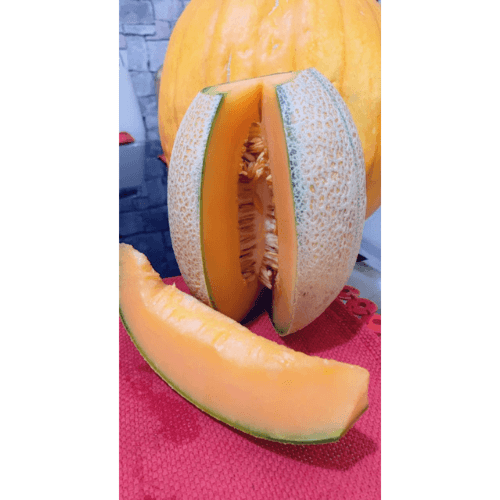 شمام منقاوي هجين F1