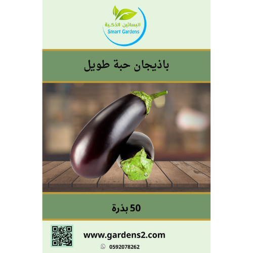 باذيجان حبة طويلة
