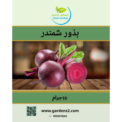 بذور شمندر