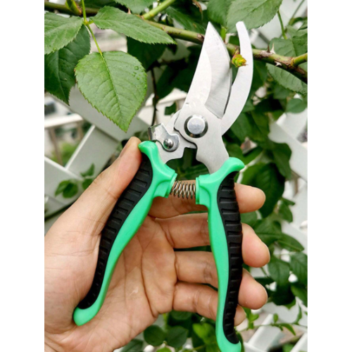 مقص تقليم ألاشجار