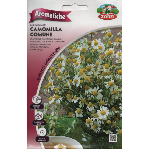 زهور البابونج