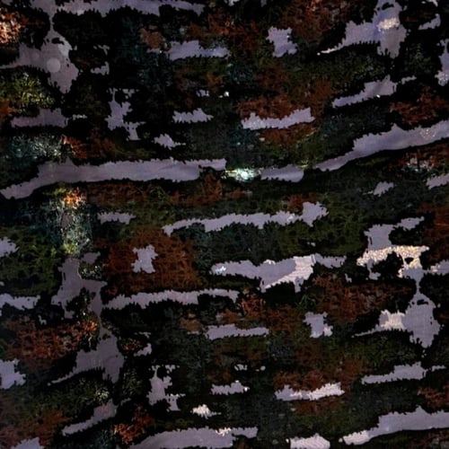 مخمل شيفون عرض 58