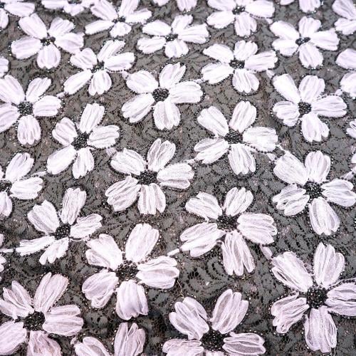 ورود شك على دانتيل