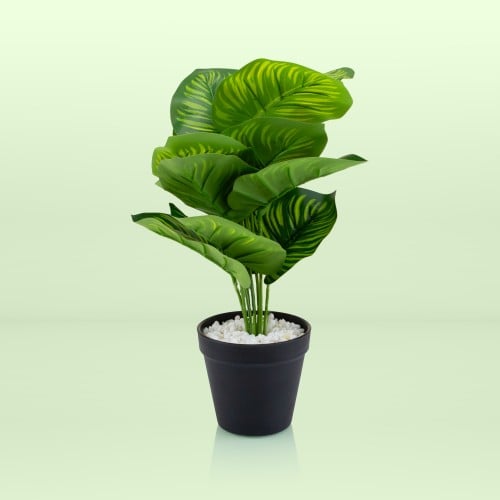 خضار منسق في مركن بلاستيك40 سم