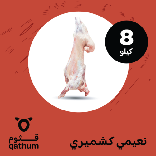 لباني نعيمي كشميري 8 كيلو