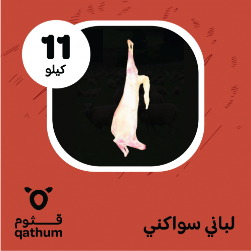 لباني سواكني 11 كيلو